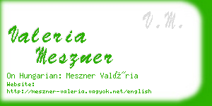 valeria meszner business card